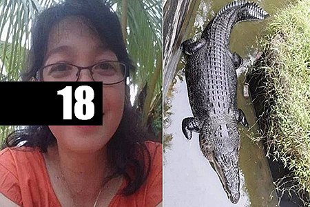 CROCODILO DE CINCO METROS COME CIENTISTA QUE TENTAVA ALIMENTÁ-LO - News Rondônia