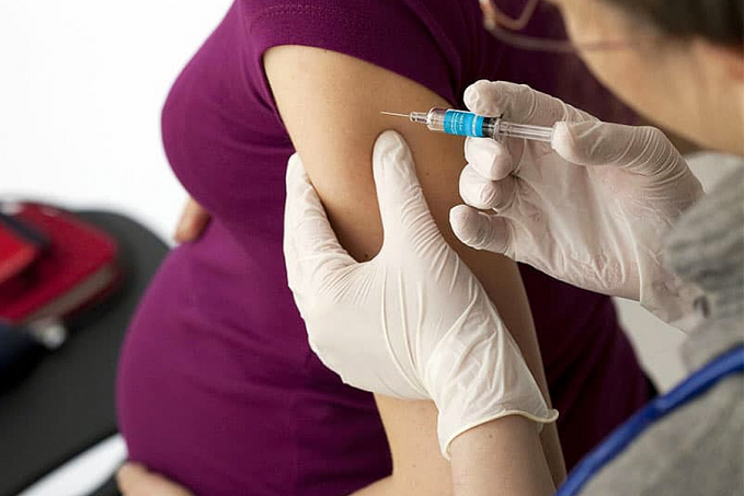 URGENTE - Ministério da Saúde restringe vacinação de gestantes em Rondônia e demais estados - News Rondônia