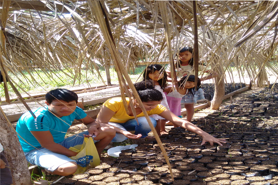 IDEP FORMA NO PRÓXIMO SÁBADO A TURMA DE 2019 DO CURSO DE AGROECOLOGIA EM RONDÔNIA - News Rondônia