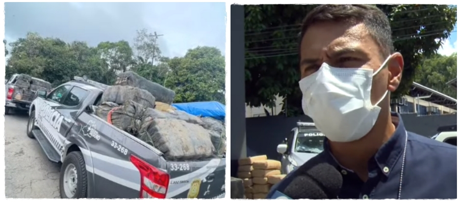 Amazonas: operação policial resulta na apreensão de três toneladas de maconha do tipo 'Skank' da Colômbia - News Rondônia