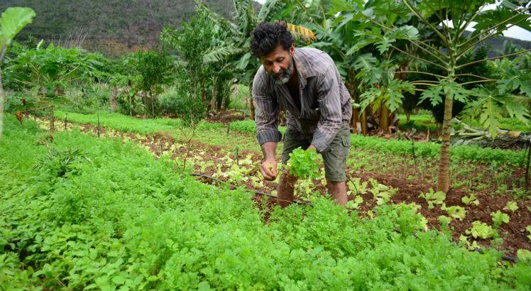 VELHA POLÍTICA NA AGRICULTURA TENTA RESISTIR E SE DISTANCIAR DO MODELO ADOTADO PELO GOVERNADOR MARCOS ROCHA - News Rondônia