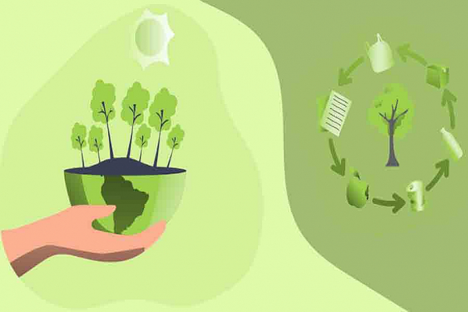 Mês em que se comemora o Dia Mundial do Meio ambiente é marcado por programação especial - News Rondônia