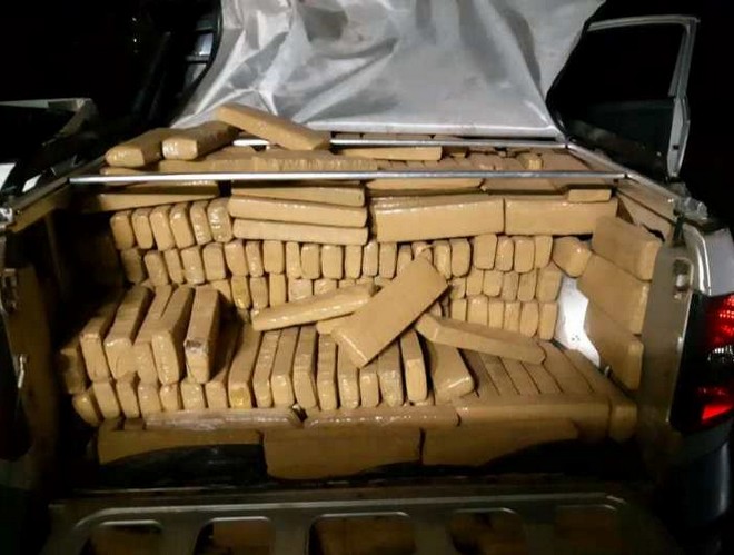 PRF APREENDE 800 QUILOS DE MACONHA EM VEÍCULO NA BR-060 - News Rondônia