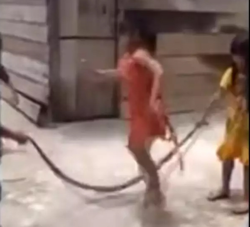 CRIANÇAS SÃO FILMADAS BRINCANDO DE PULAR CORDA COM COBRA  VEJA VÍDEO - News Rondônia