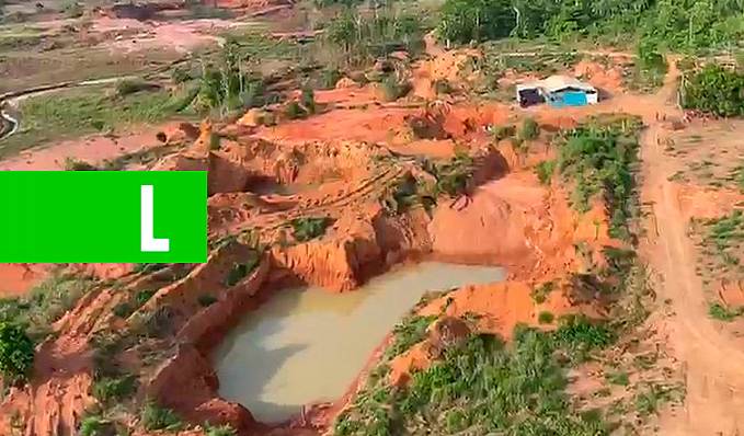 Polícia Federal realiza operação Iratus em terra indígena Parque Aripuanã - News Rondônia