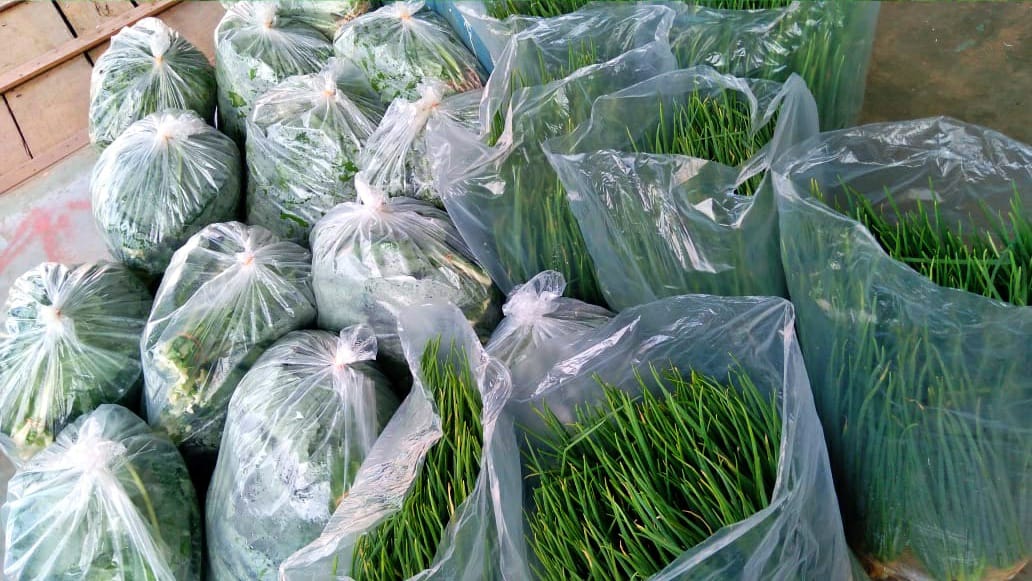 Programa de Aquisição de Alimentos Federal destina mais de R$ 2 milhões para atender famílias em situação de vulnerabilidade em Rondônia - News Rondônia