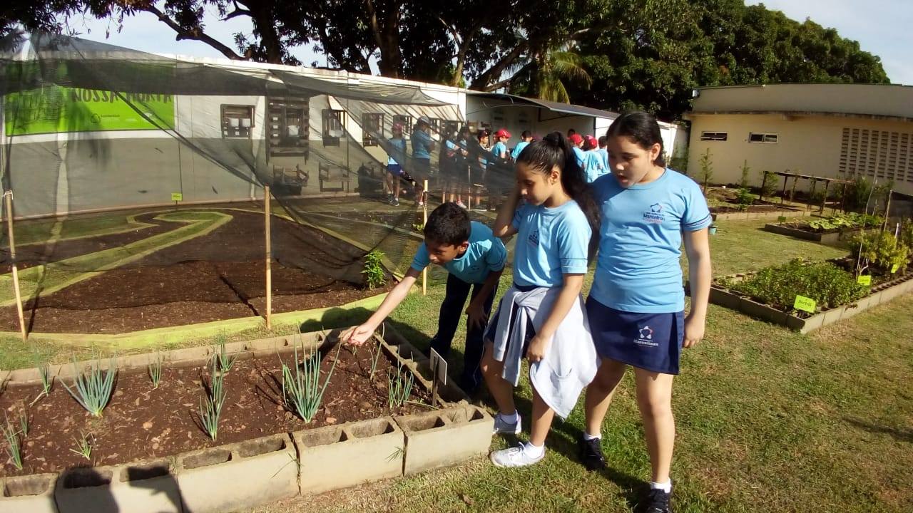 PORTO VELHO SHOPPING REFORÇA AÇÕES DE SUSTENTABILIDADE E RECICLA 38% DE LIXO PRODUZIDO - News Rondônia