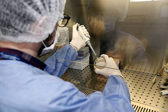 AGEVISA USA ESTRATÉGIAS PARA COMBATER CASOS DE MALÁRIA EM RONDÔNIA - News Rondônia