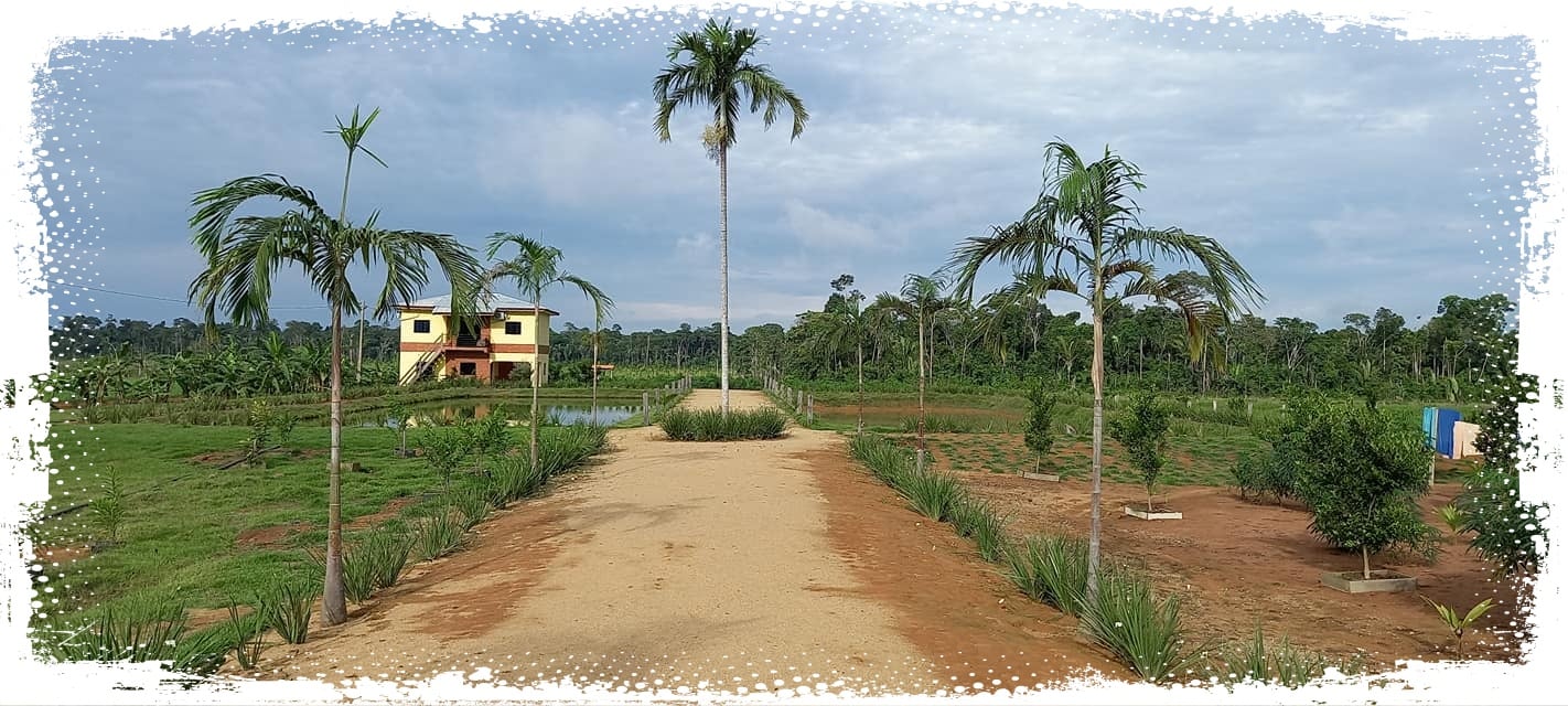 Conheça a comunidade terapêutica A Fazenda da Esperança em Alto Paraíso-RO - News Rondônia