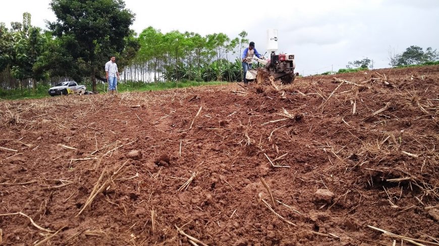VITRINE TECNOLÓGICA COMEÇA A SER PREPARADA PARA REALIZAÇÃO DA 8ª RONDÔNIA RURAL SHOW, EM MAIO, EM JI-PARANÁ - News Rondônia