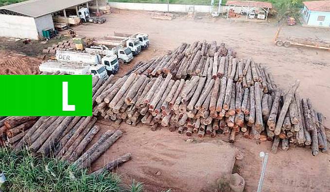 Ações de fiscalização, combate a incêndios florestais e extração ilegal de madeira são reforçados em Rondônia - News Rondônia