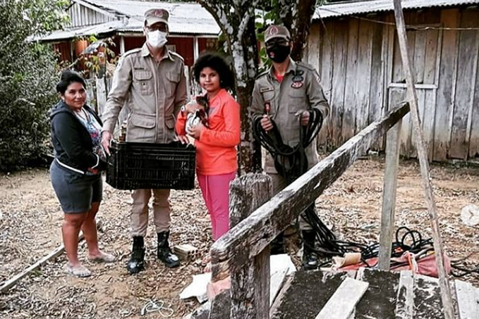Em Machadinho, Gato despenca de poço de 20 metros e é salvo pelos Bombeiros - News Rondônia
