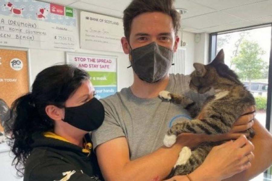 Tutores reencontram gato desaparecido há dez anos - News Rondônia