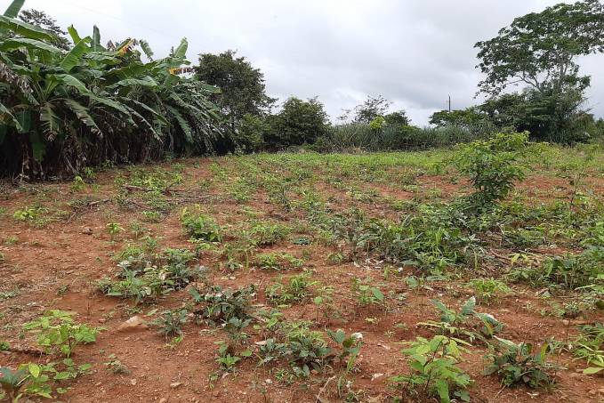 Rolim de Moura: Semagri aprova mais um projeto para construção de agroindústria familiar - News Rondônia