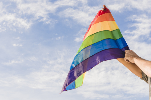 Rocha Filho Advogados reforça a importância da inclusão LGBTQIA+ no Dia Mundial Contra a Homofobia - News Rondônia