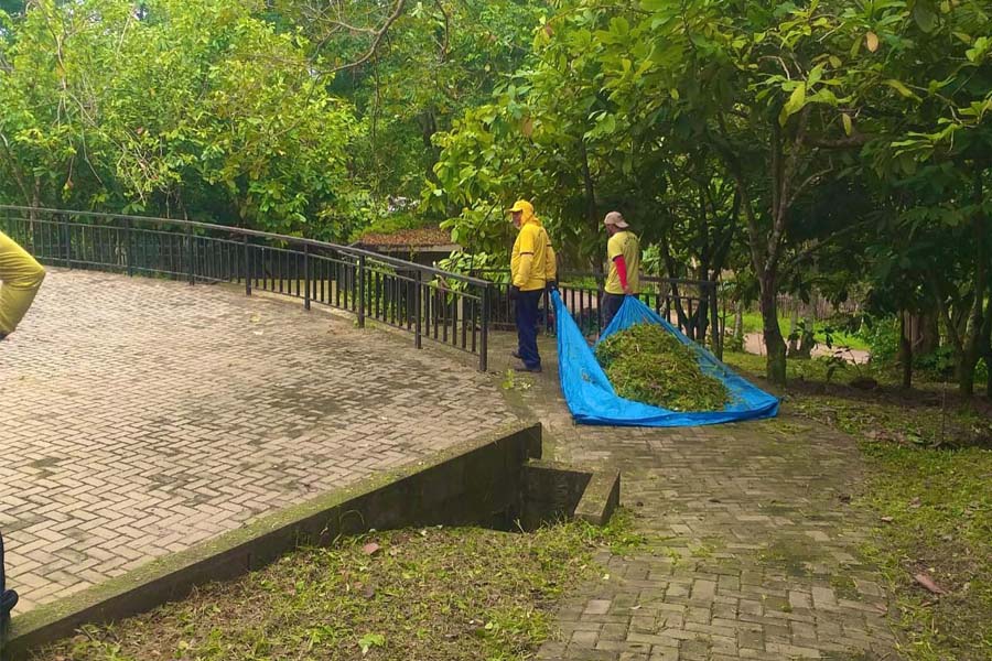 Vereador Aleks Palitot tem pedido atendido para manutenção, limpeza e retirada de entulhos da região do Cemitério da Candelária - News Rondônia