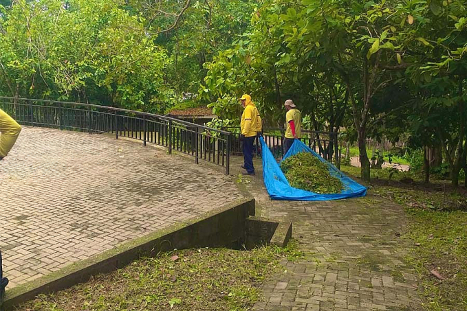 Vereador Aleks Palitot tem pedido atendido para manutenção, limpeza e retirada de entulhos da região do Cemitério da Candelária - News Rondônia