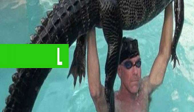 HOMEM RETIRA NO BRAÇO JACARÉ QUE INVADIU PISCINA DE CASA: 'FOI DIVERTIDO' - News Rondônia