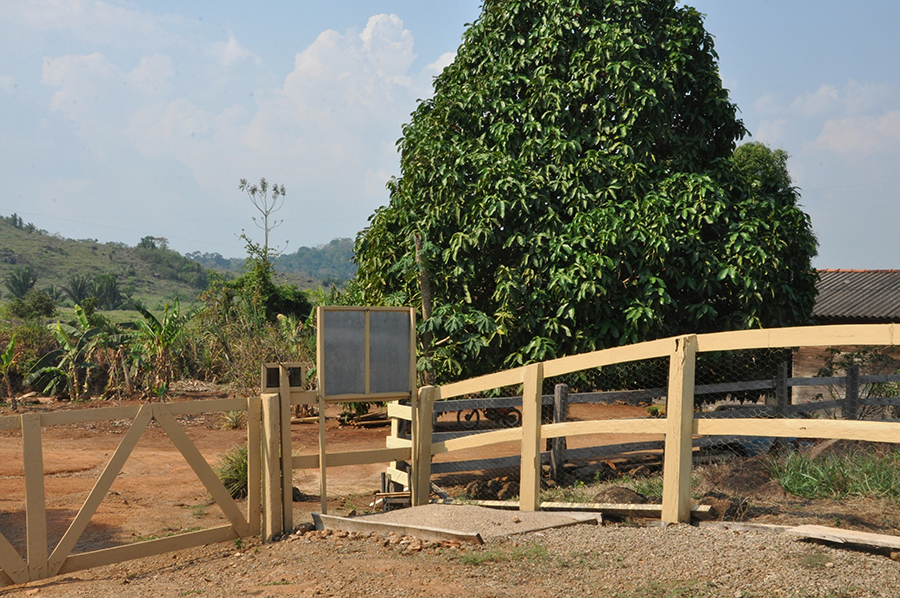 MONTE NEGRO - AGROINDÚSTRIA É UM SUCESSO NA REGIÃO - News Rondônia