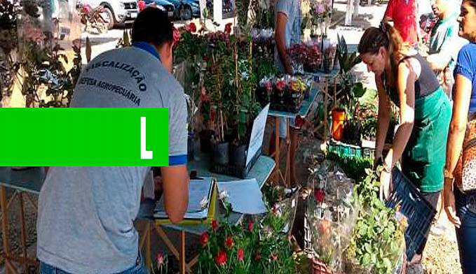 Idaron simplifica cadastro para produtores comerciais e revendedores de plantas ornamentais em Rondônia - News Rondônia