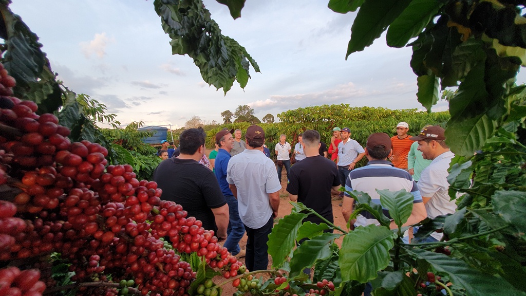 REPRESENTANTES DA INDÚSTRIA DE CAFÉ E EXPORTADORES FAZEM A ROTA DA QUALIDADE DOS ROBUSTAS AMAZÔNICOS - News Rondônia