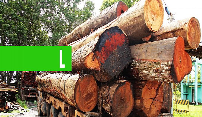BATALHÃO DE POLÍCIA AMBIENTAL DESTACA OPERAÇÕES; FISCALIZAÇÃO E EDUCAÇÃO AMBIENTAL FAVORECEM DESENVOLVIMENTO DO ESTADO - News Rondônia