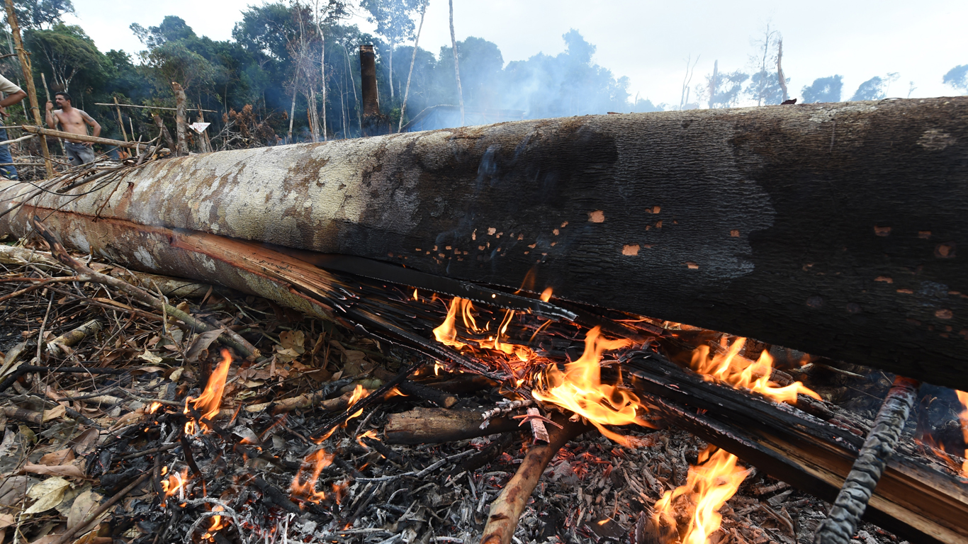 DESMATAMENTO NA AMAZÔNIA SUPERA 184 MILHÕES DE CAMPOS DE FUTEBOL - News Rondônia