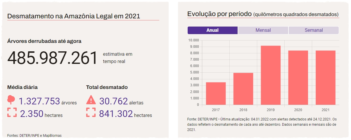 Devastação: Rondônia perdeu mais de 66 milhões de árvores em 2021, foram 181.354 por dia, 126 a cada minuto, aponta estudo do PlenaMata - News Rondônia