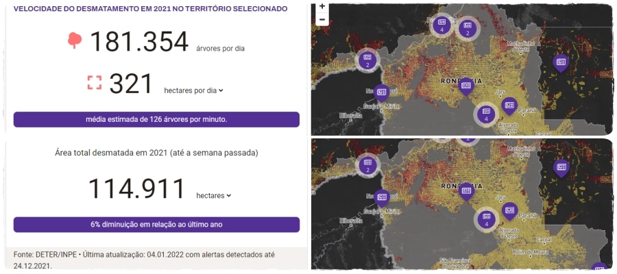 Devastação: Rondônia perdeu mais de 66 milhões de árvores em 2021, foram 181.354 por dia, 126 a cada minuto, aponta estudo do PlenaMata - News Rondônia