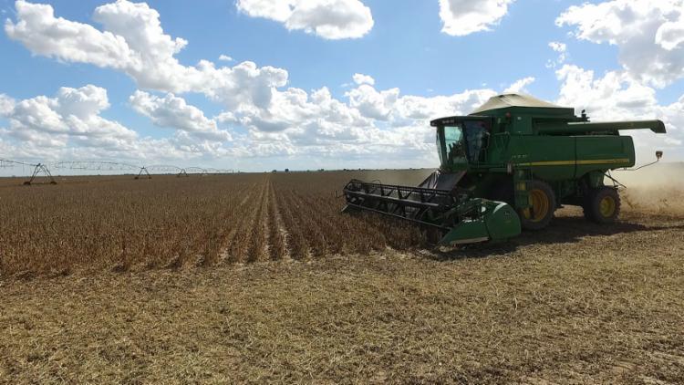 Live vai debater inovação na pequena propriedade rural - News Rondônia