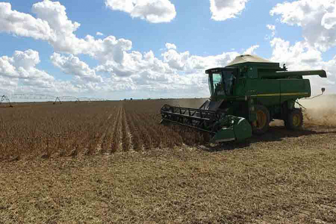 Live vai debater inovação na pequena propriedade rural - News Rondônia