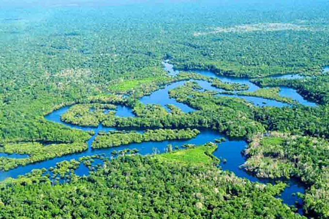 Primeiro edital socioambiental de Furnas vai distribuir R$ 1 milhão - News Rondônia