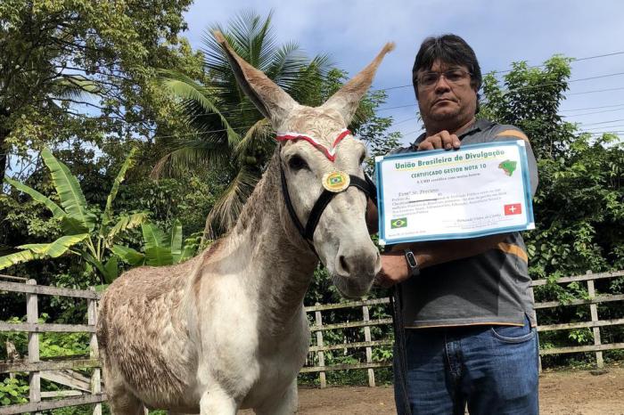 JUMENTO ESTÁ ENTRE OS PREMIADOS COMO PREFEITO NOTA 10 DO BRASIL - News Rondônia