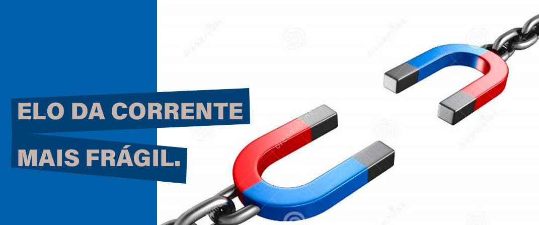 TEMPO PARA TUDO: TEMPO PARA CRIAR E TEMPO PARA BENEFICIAR - News Rondônia