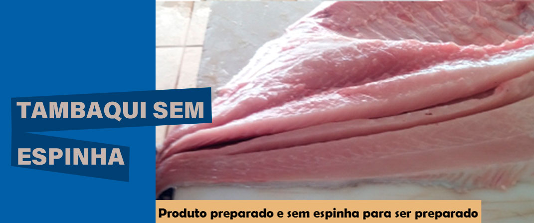 TEMPO PARA TUDO: TEMPO PARA CRIAR E TEMPO PARA BENEFICIAR - News Rondônia