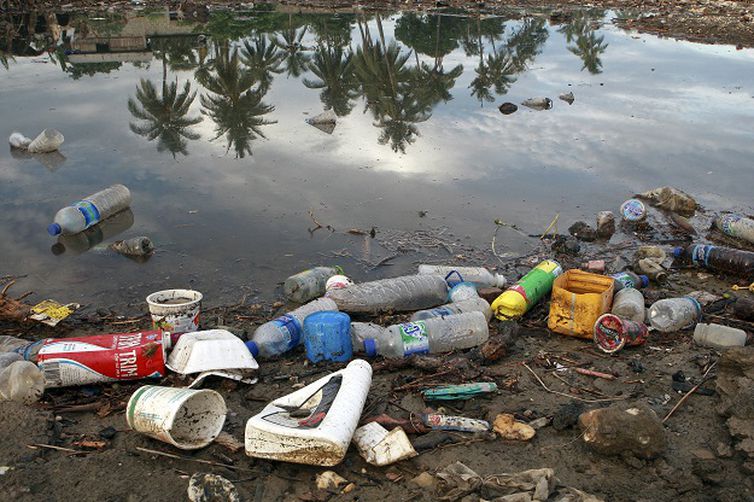 POLUIÇÃO PLÁSTICA É TEMA DO DIA MUNDIAL DO MEIO AMBIENTE 2018 - News Rondônia