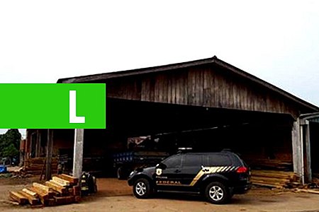 TERRAS INDÍGENAS: PF DEFLAGRA 2ª FASE DA OPERAÇÃO 'WARÃ' DE COMBATE EXPLORAÇÃO ILEGAL DE MADEIRAS. - News Rondônia