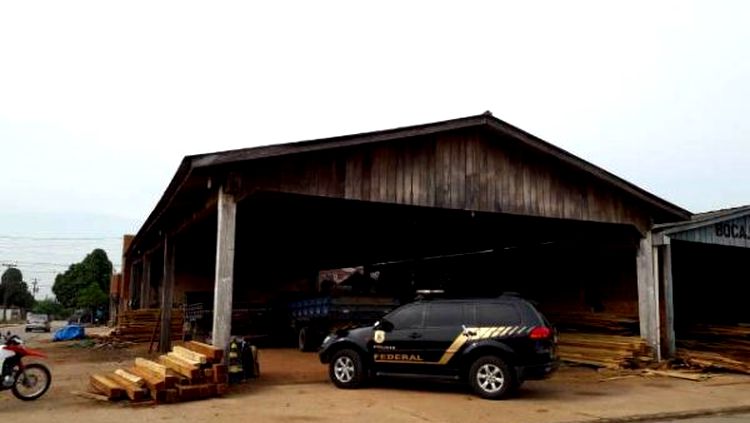 TERRAS INDÍGENAS: PF DEFLAGRA 2ª FASE DA OPERAÇÃO 'WARÃ' DE COMBATE EXPLORAÇÃO ILEGAL DE MADEIRAS. - News Rondônia