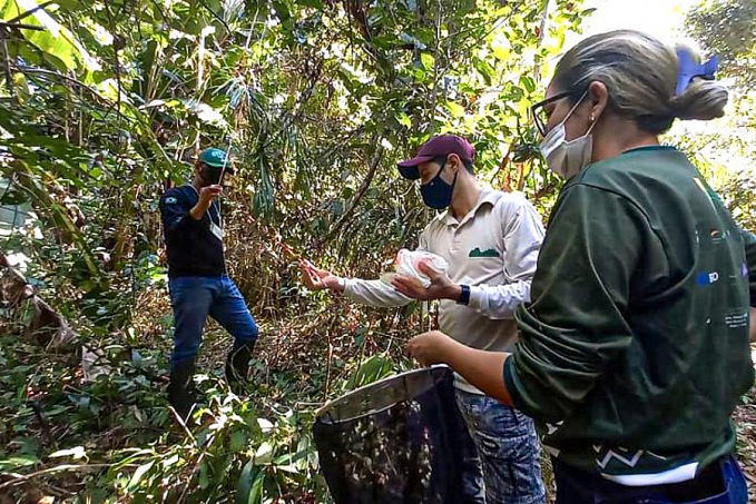 Programa que monitora biodiversidade em unidades de conservação é realizado em parque estadual de Rondônia - News Rondônia