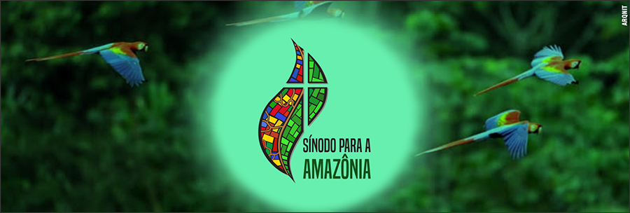 POLÍTICA & MURUPI: A PONTA DO TAPETE - News Rondônia