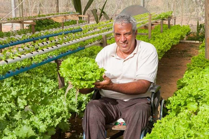 Agricultor cadeirante se torna referência em hidroponia - News Rondônia