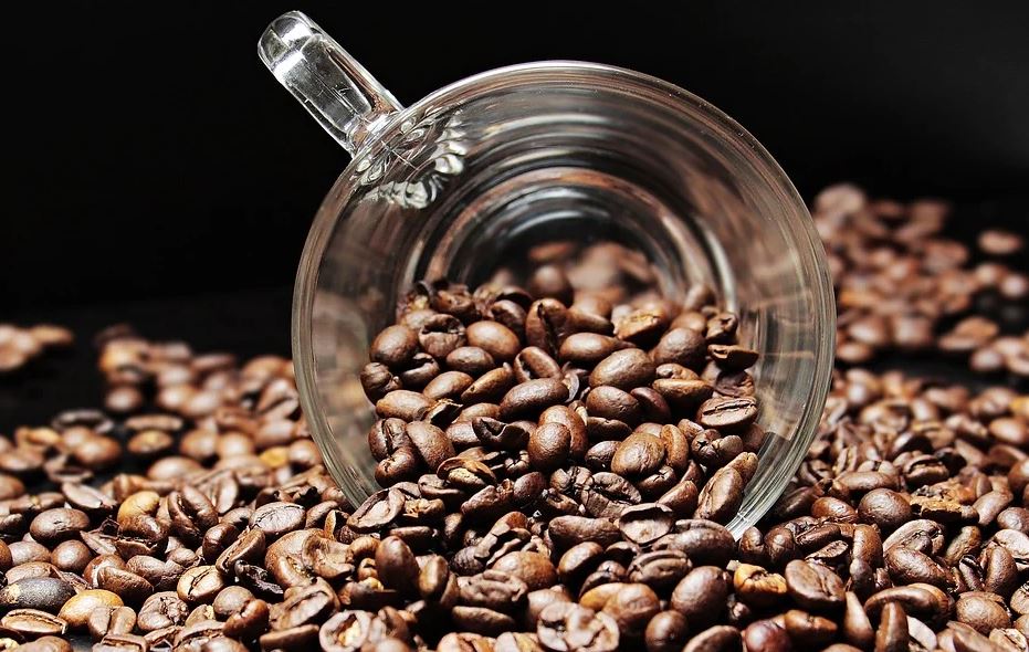 Prêmio Coffee of The Year 2020: conheça os melhores cafés brasileiros do ano - News Rondônia