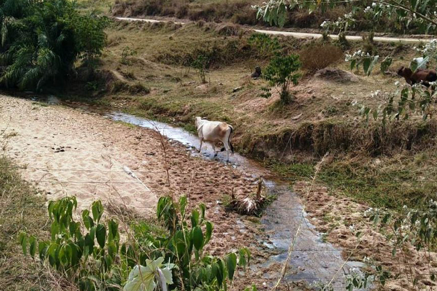 Controle dos recursos hídricos garante uso racional e correta distribuição de água em Rondônia - News Rondônia