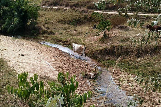 Controle dos recursos hídricos garante uso racional e correta distribuição de água em Rondônia - News Rondônia