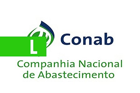 CONAB ENCERRA INSCRIÇÃO DE PROPOSTAS DO PAA NESTA SEXTA-FEIRA (18) - News Rondônia