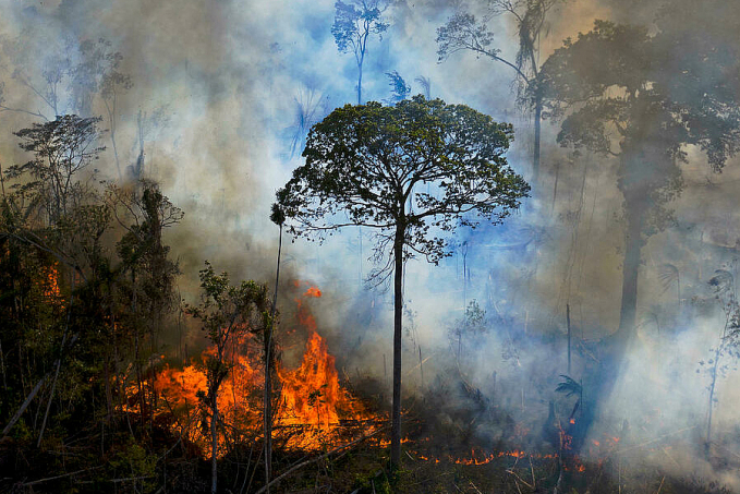 Em apenas 13 dias, INPE registrou 42 km2 de desmatamento em Candeias do Jamari - News Rondônia