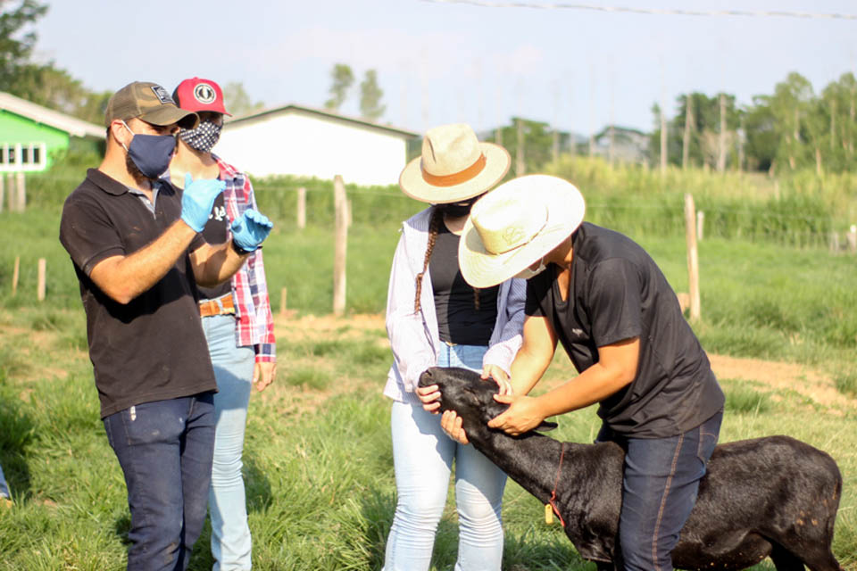 Produtores rurais de Roraima visitam Rondônia para conhecer cafés robustas amazônicos - News Rondônia