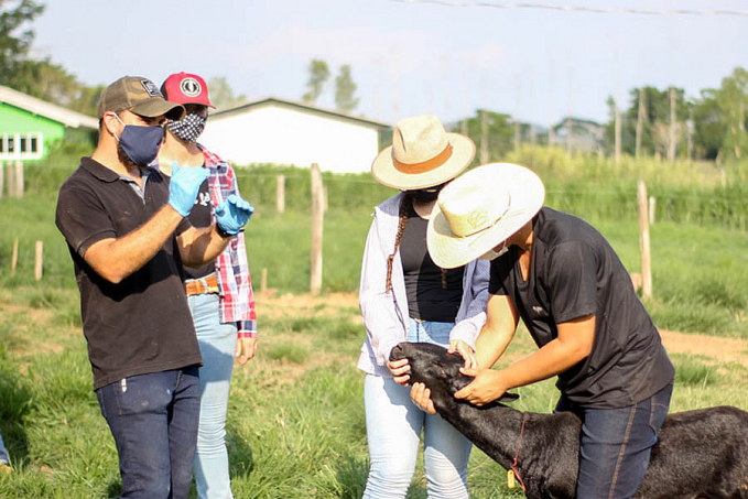 Produtores rurais de Roraima visitam Rondônia para conhecer cafés robustas amazônicos - News Rondônia