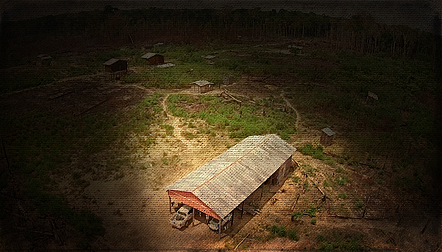 O que resta do sul do AM em pessoas com fome e na miséria extrema frutos de exclusão e chacinas de povos tradicionais - News Rondônia