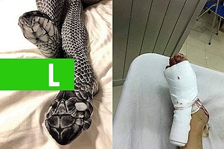 APÓS USAR MEIA-CALÇA DE COBRA, MULHER ASSUSTA MARIDO E LEVA PAULADAS - News Rondônia
